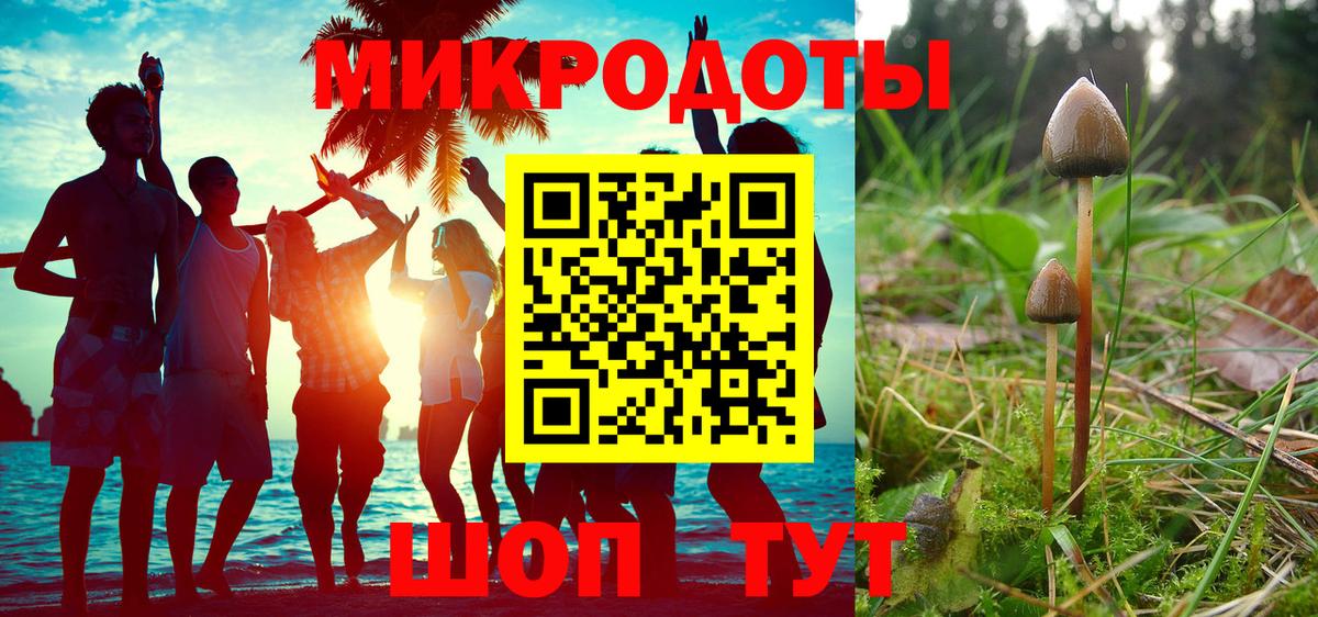 Галлюциногенные грибы прущие грибы Клинцы