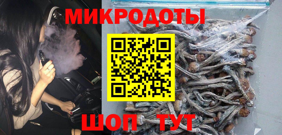 Клинцы  Псилоцибиновые грибы Cubensis  Вход с VPN 